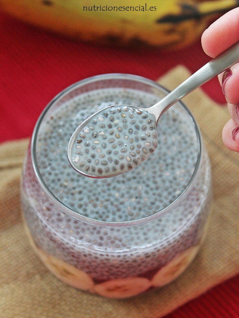 chia pudding2