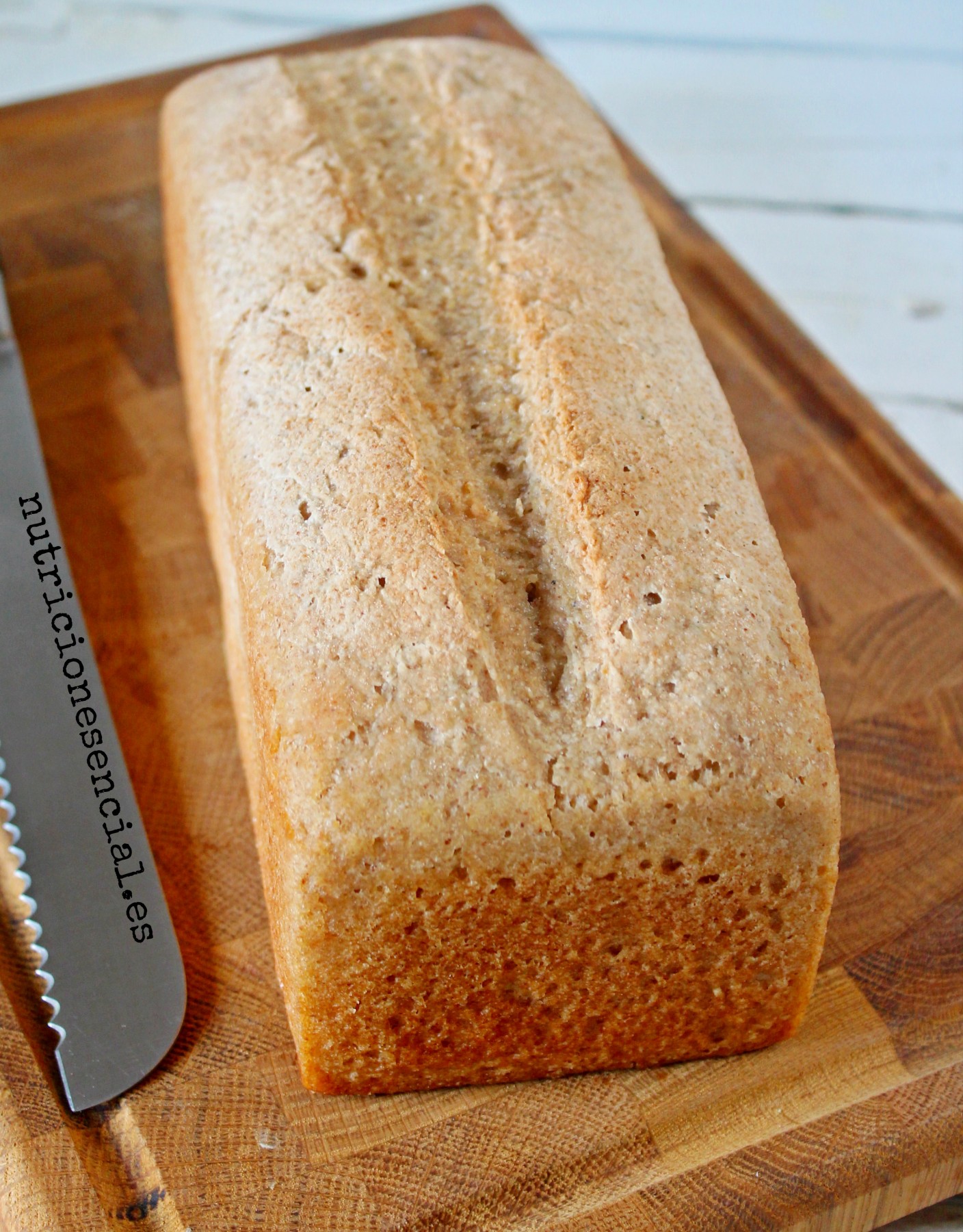 El pan sin Gluten: todo lo que querías saber