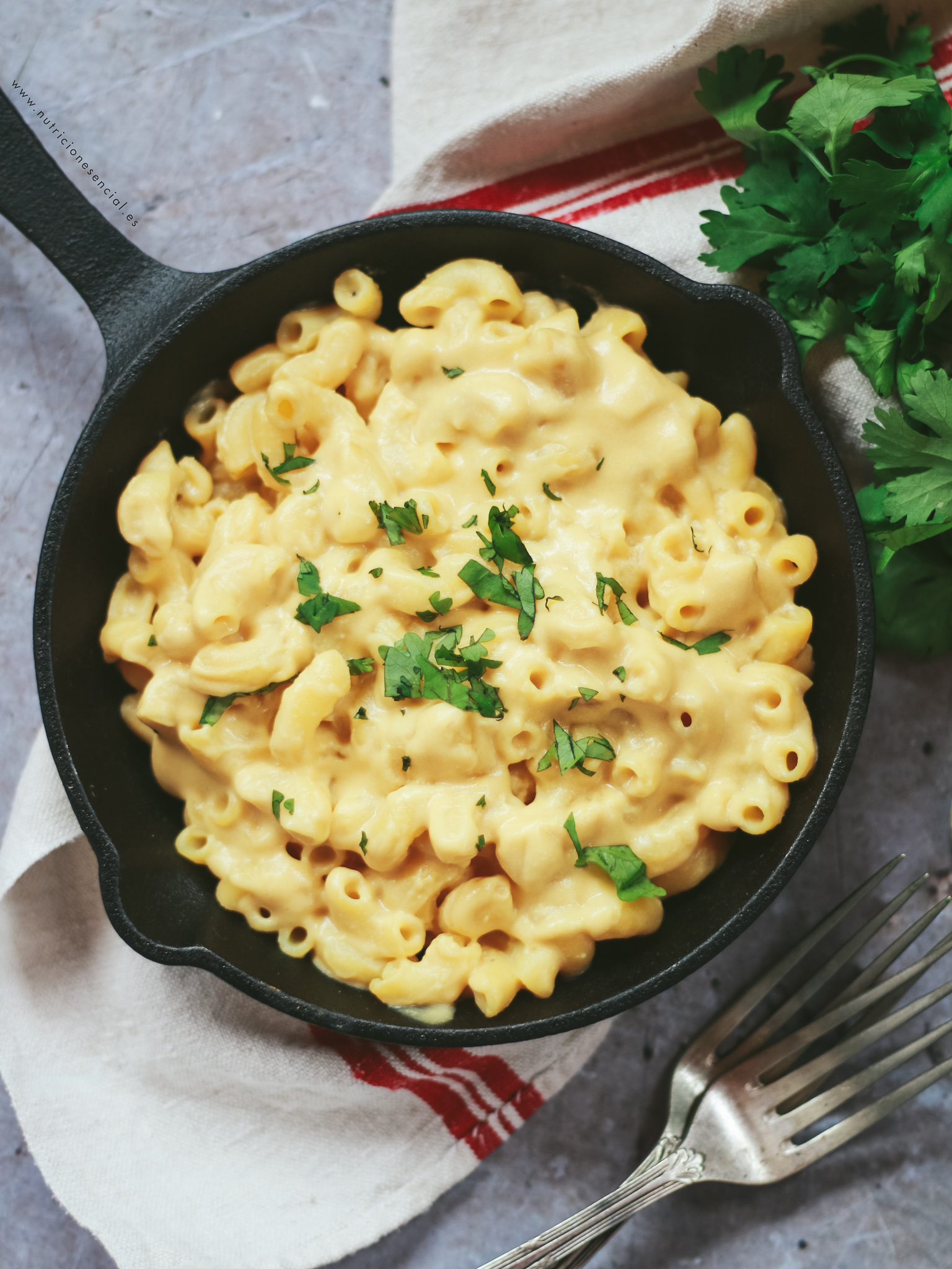 vegan mac and cheese 